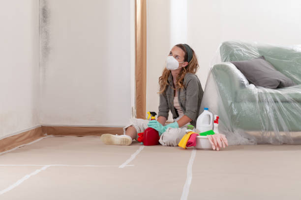 Reliable Mold Cleanup contractor in Waldorf, MD by WQB Mold Removal